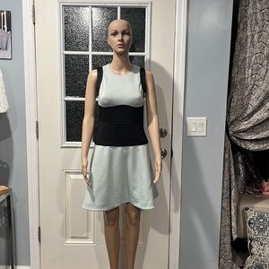 Rachel roy dress